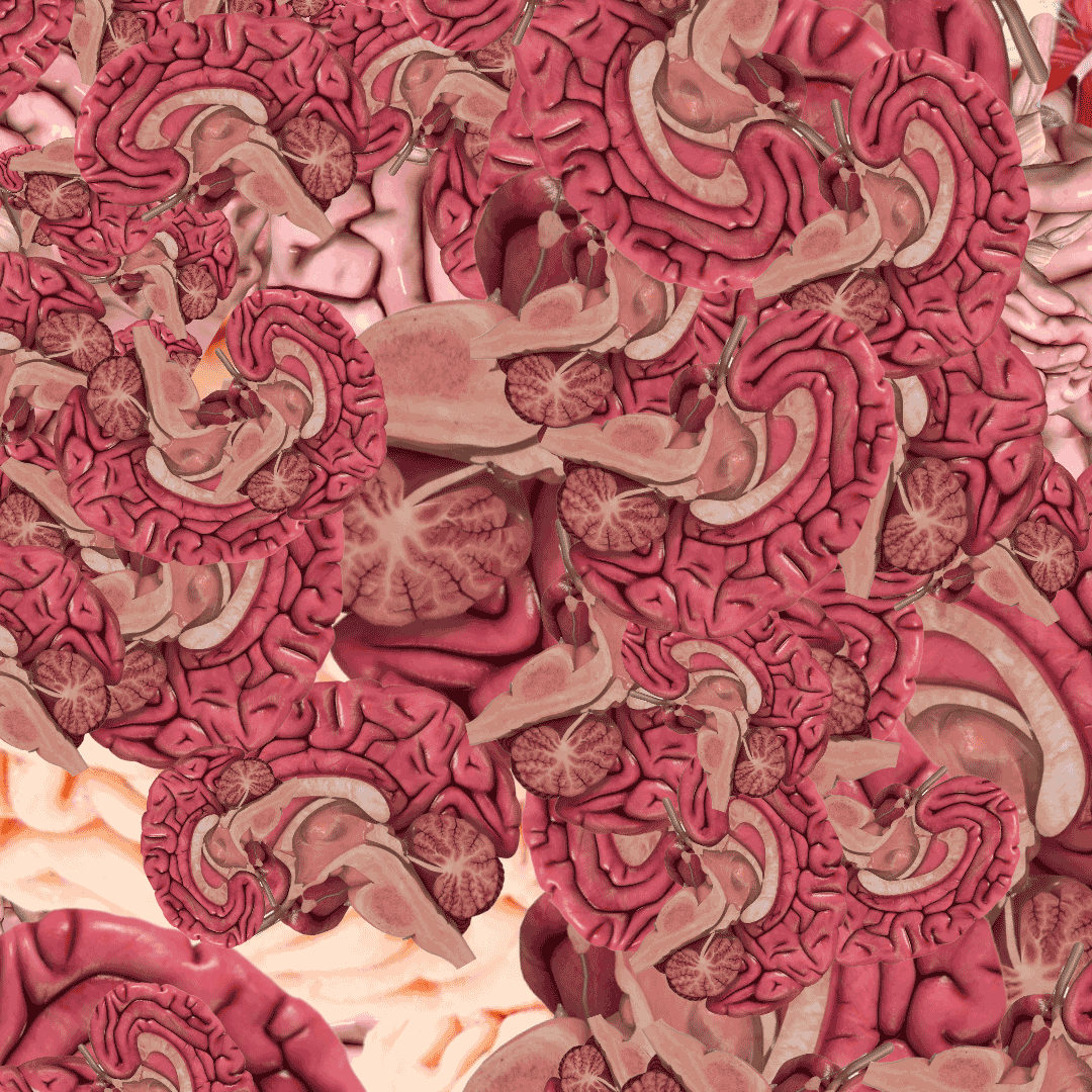 patterns-brain-1-1080×1080-1