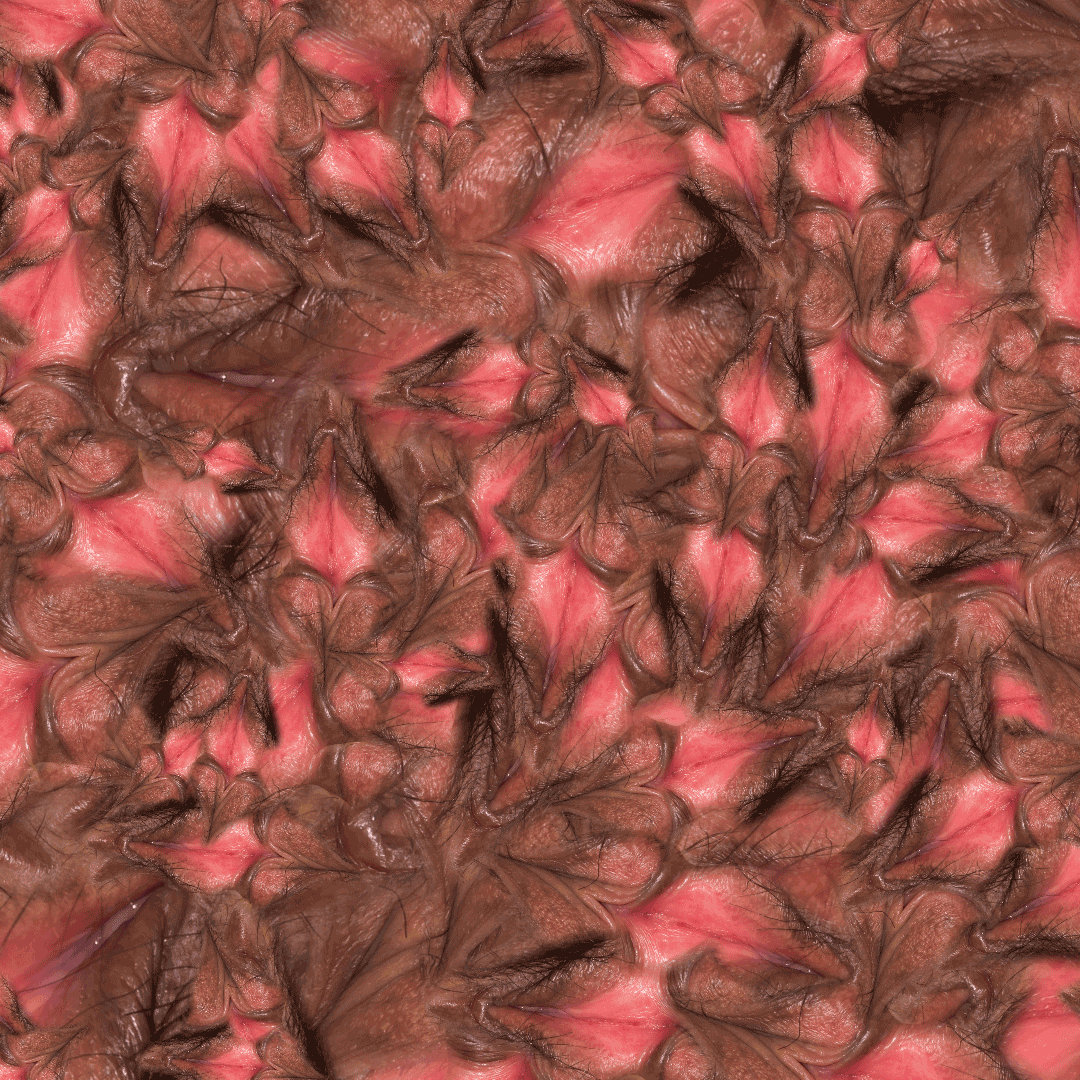 patterns-skin-7-1080×1080-1